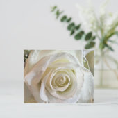 Purity White Rose Postcard Postkarte (Stehend Vorderseite)