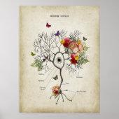 Purkinje Cell Neuron Anatomie mit Blume Poster (Vorne)