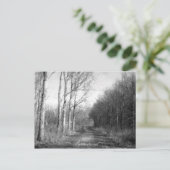 Purmerend Netherlands Postcard Postkarte (Stehend Vorderseite)