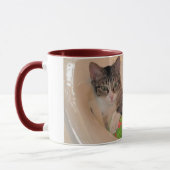 Purnelli Tasse (Links)