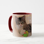Purnelli Tasse (Vorderseite Links)