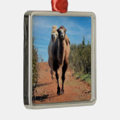 Purnimama & Delany Ornament Aus Metall (Rechts)