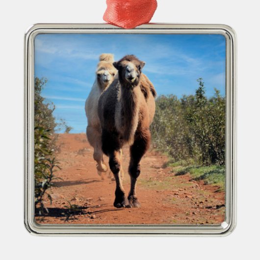 Purnimama & Delany Ornament Aus Metall (Vorne)