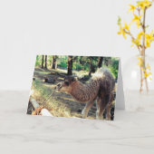 Purnimama Karte (Gelbe Blume)