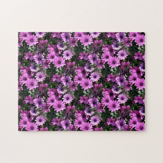 Purple African Daisy Flowers Nature Puzzle (Horizontal)