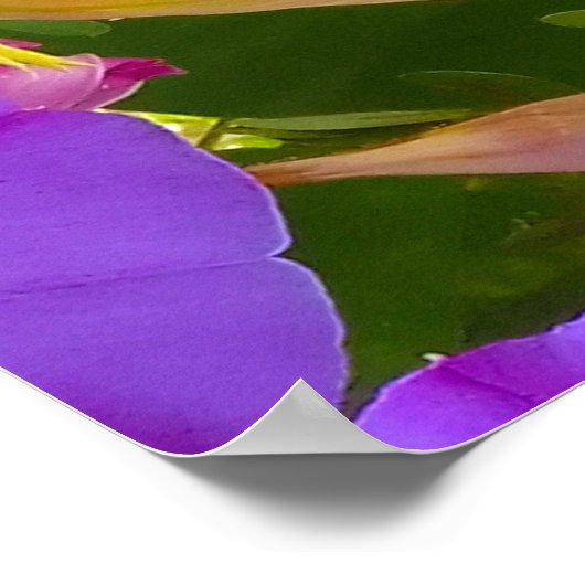 PURPLE AND GREEN ABSTRACT DRAWING. SAMER BRASIL. 4 POSTER (Ecke)