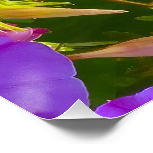 PURPLE AND GREEN ABSTRACT DRAWING. SAMER BRASIL. 4 POSTER (Ecke)