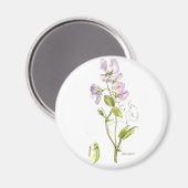 Purple and green sweet pea magnet (Vorderseite/Rückseite)