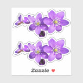 Purple Anemone Hepatica Flowers Vinyl Sticker (Blatt)