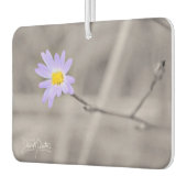 Purple Aster in Selective Color Autolufterfrischer (Links)