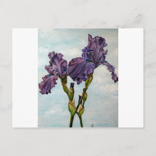 Purple bearded iris flowers postkarte