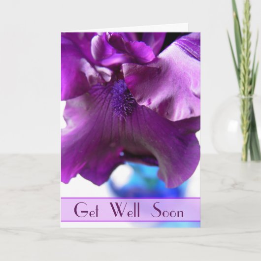 Purple Bearded Iris Get Well Soon Card Karte (Vorderseite)