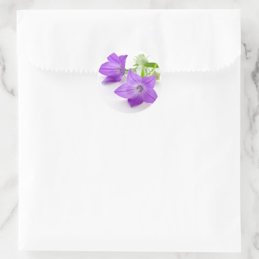 purple bellflowers runder aufkleber (Tasche)