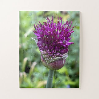 Purple Bloom of Memory | Allium Flower Botanical  Puzzle