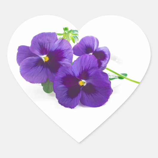 purple | blue | anniversary | flower | Pansy | cut Herz-Aufkleber (Vorderseite)