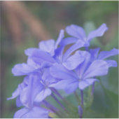 Purple Blumen Aufkleber (Vorderseite)