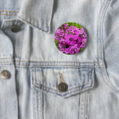 Purple Blumen aus San Francisco Button (Beispiel)