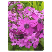 Purple Blumen aus San Francisco Klemmbrett (Rückseite)