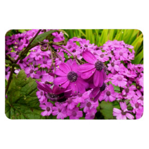 Purple Blumen aus San Francisco Magnet