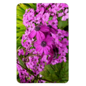 Purple Blumen aus San Francisco Magnet (Vertikal)