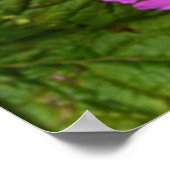 Purple Blumen aus San Francisco Poster (Ecke)