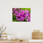 Purple Blumen aus San Francisco Poster (Küche)
