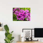 Purple Blumen aus San Francisco Poster (Heimbüro)