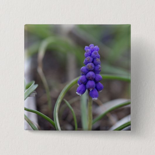 Purple Blumen Button (Vorderseite)