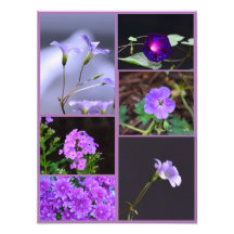 Purple Blumen Foto Collage