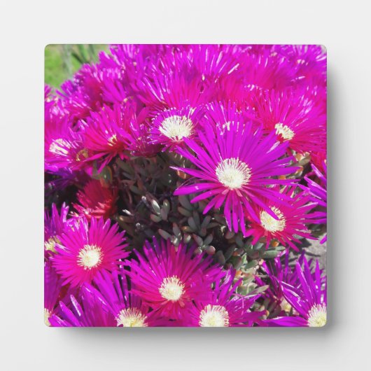 Purple Blumen Fotoplatte (Vorderseite)