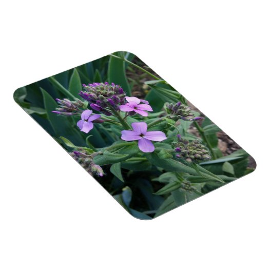 Purple Blumen Magnet (Rechte Seite)