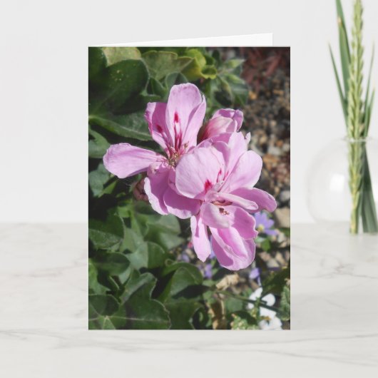 Purple Blumen Muttertagskarte Karte (Vorderseite)