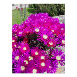 Purple Blumen Poster