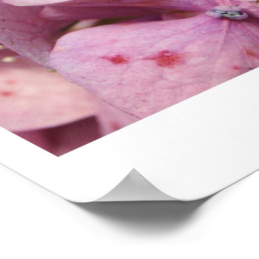 Purple Blumen Poster (Ecke)