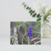 Purple Blumen Postkarte (Stehend Vorderseite)