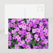 Purple Blumen Postkarte (Vorne/Hinten)
