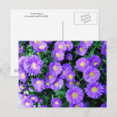 Purple Blumen Postkarte (Vorne/Hinten)