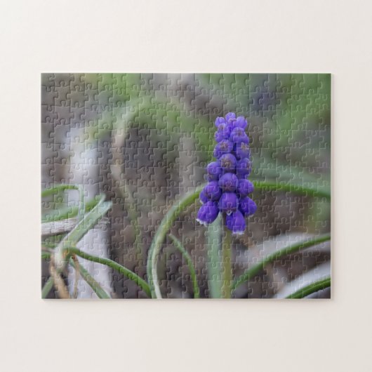 Purple Blumen Puzzle (Horizontal)