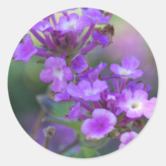 Purple Blumen Runder Aufkleber