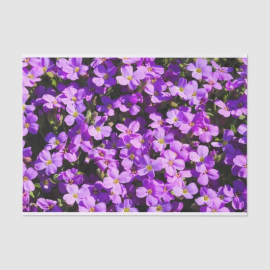 Purple Blumen Seidenpapier (Vorderseite)