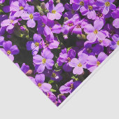 Purple Blumen Seidenpapier (Ausschnitt)