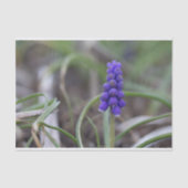 Purple Blumen Seidenpapier (Vorderseite)