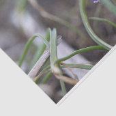 Purple Blumen Seidenpapier (Ausschnitt)