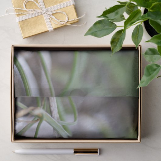 Purple Blumen Seidenpapier (Geschenk)