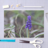 Purple Blumen Seidenpapier (Handwerk)