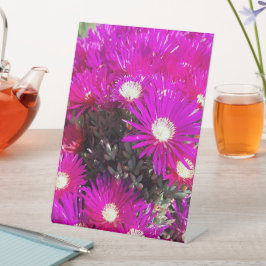 Purple Blumen Sockelschild