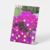 Purple Blumen Sockelschild (Vorderseite)