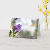 Purple Blumen Sommernaturfotografie Karte (Gelbe Blume)