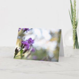 Purple Blumen Sommernaturfotografie Karte