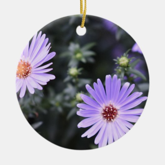 Purple Blumen Sommernaturfotografie Keramik Ornament (Vorne)